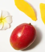 Not Your Mother´s Shampoo Tahitian Gardenia Flower & Mango Butter 473ml - Image 3