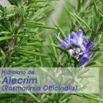Hidrolato de Alecrim (Rosmarinus officinalis Leaf Water 100%) 125ml